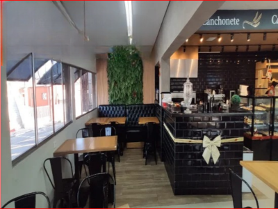 Captura de tela 2026-02-11 112356