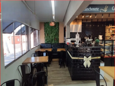 Captura de tela 2026-02-11 112610