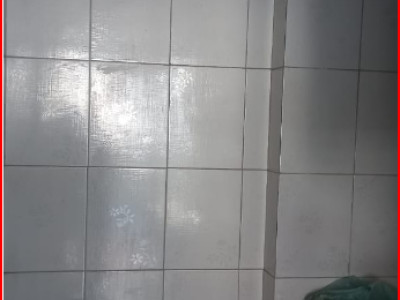 Captura de tela 2026-02-11 113747