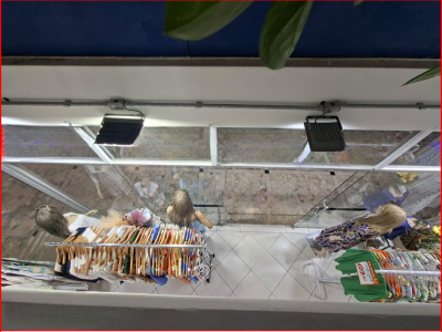 Captura de tela 2026-02-26 125412