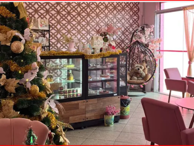 Captura de tela 2026-03-16 152115