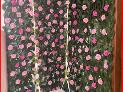 Captura de tela 2026-03-16 152310