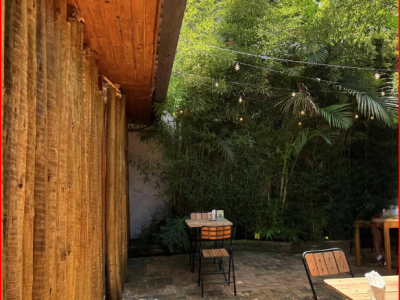 Captura de tela 2026-03-25 145737